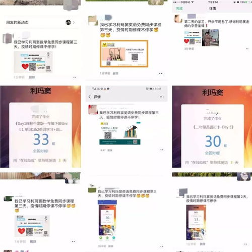好評刷屏的背后 利瑪竇語數外同步課堂，用愛澆灌，用服務說話