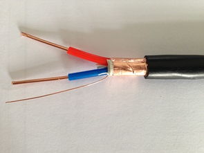 ZR-KVVP2-16×2.5 阻燃控制屏蔽電纜 國標(biāo)品質(zhì)，廠價(jià)直銷的專業(yè)之選